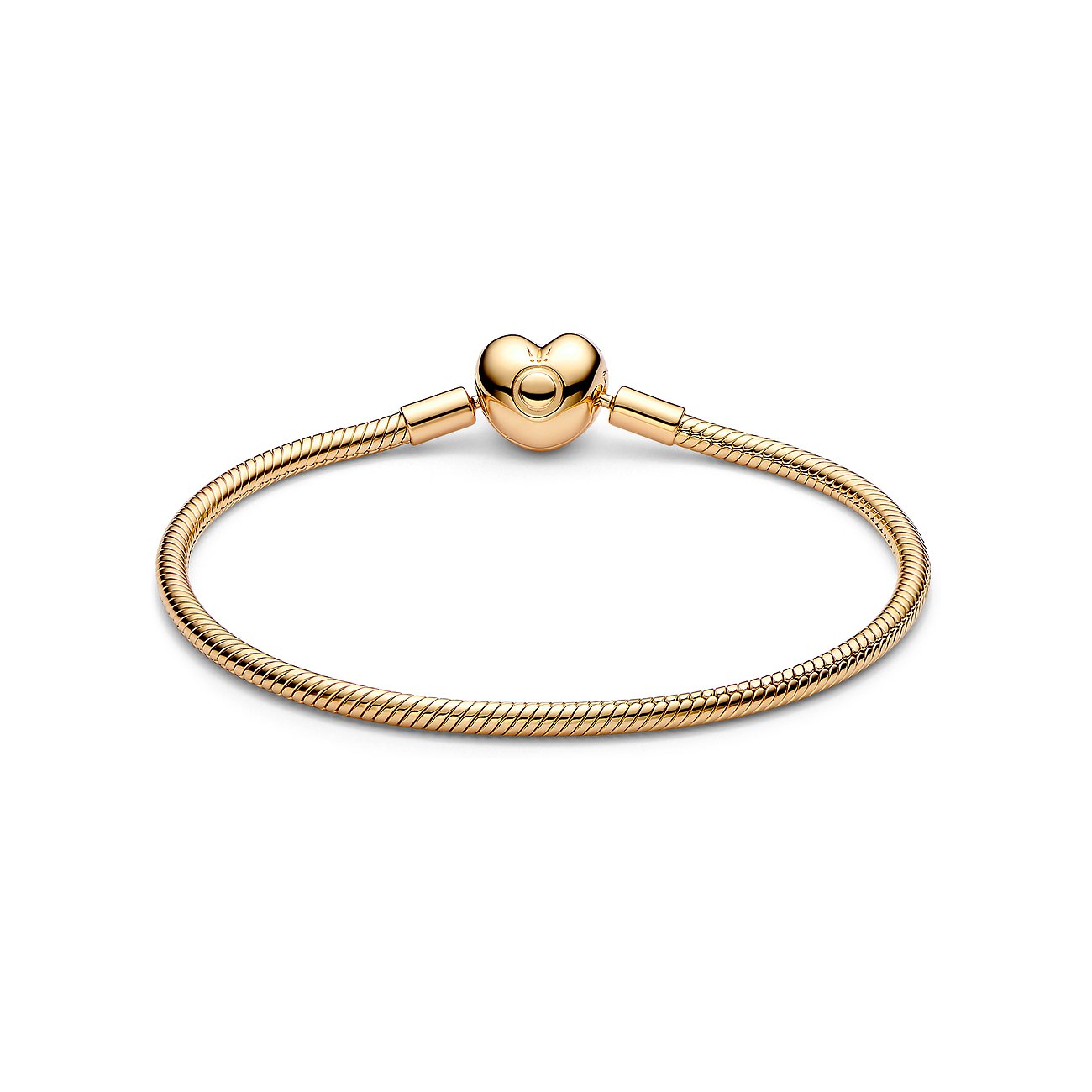 Pandora Armband Moments