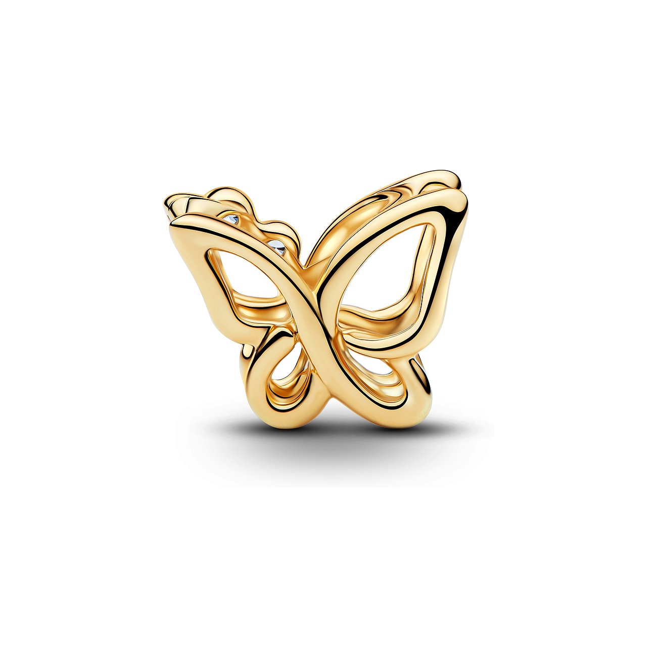 Pandora Charm Moments