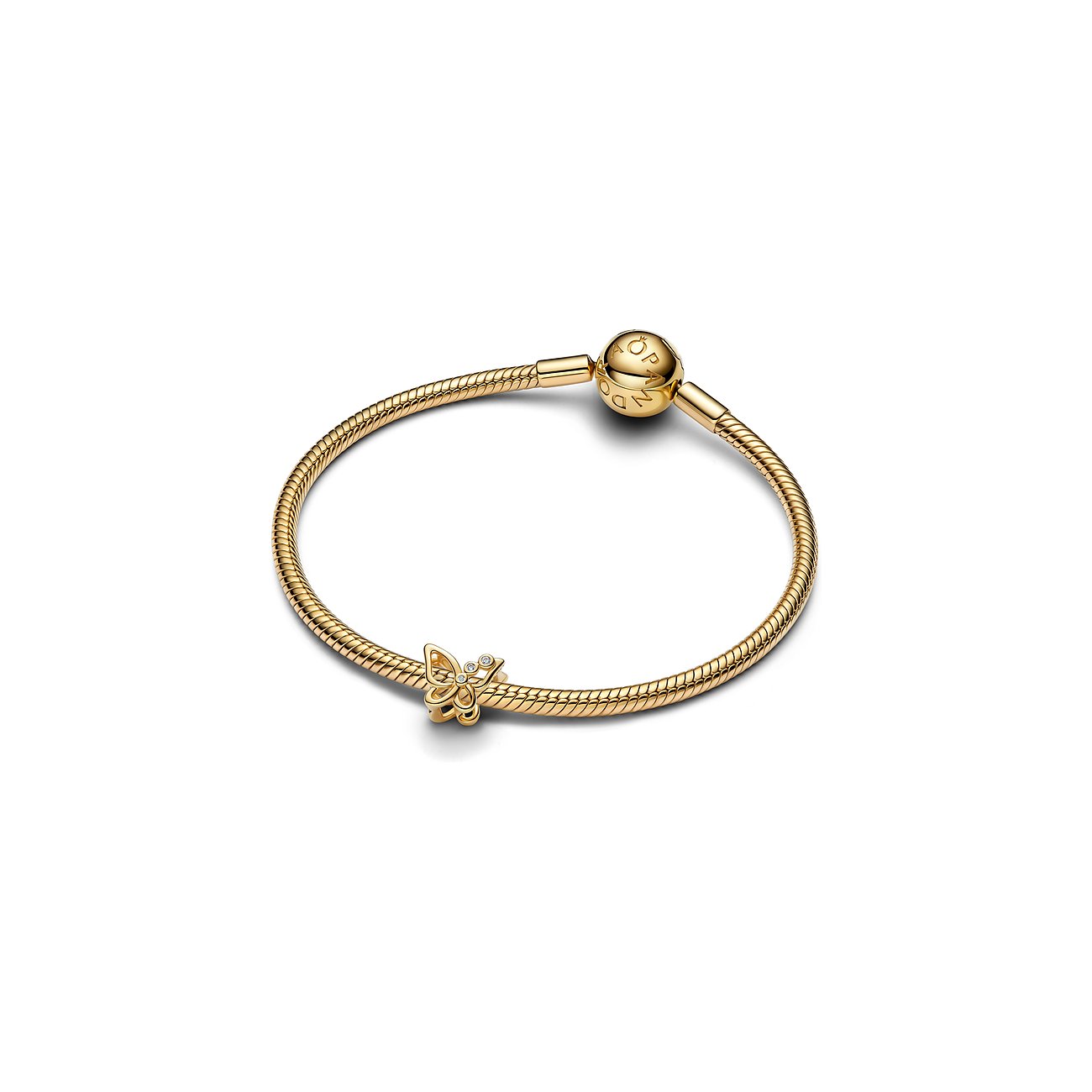 Pandora Charm Moments